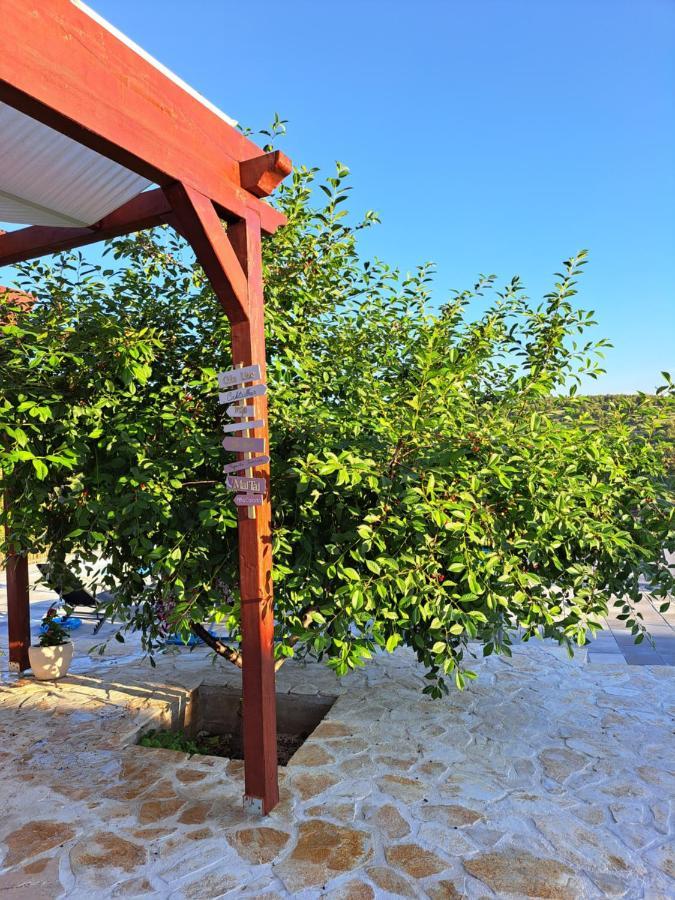 Guest House "The View" - With A Pool Donje Polje Екстер'єр фото